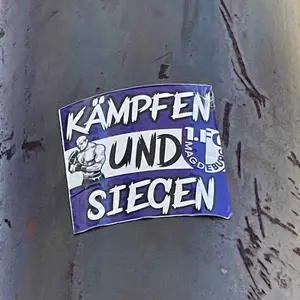 1 FC Magdeburg football sticker #2283 found in this city