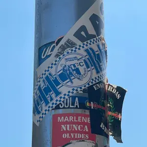 1 FC Magdeburg football sticker #4429 found in this city