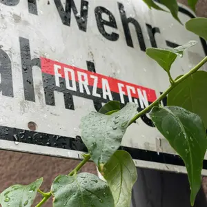 1 FC Nürnberg street sticker #1600 -- Germany football