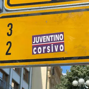 ACF Fiorentina street sticker #485 -- Italy football