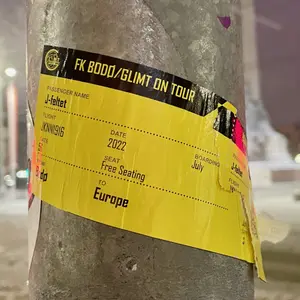 Bodo glimt sticker #311