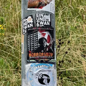 Dynamo Dresden street sticker #1357 -- Germany football