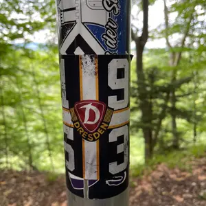 Dynamo Dresden street sticker #1328 -- Germany football