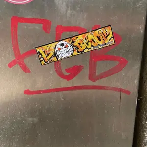 Dynamo Dresden street sticker #1343 -- Germany football