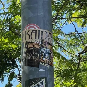 Dynamo Dresden street sticker #1346 -- Germany football
