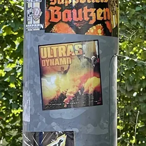 Dynamo Dresden street sticker #1330 -- Germany football