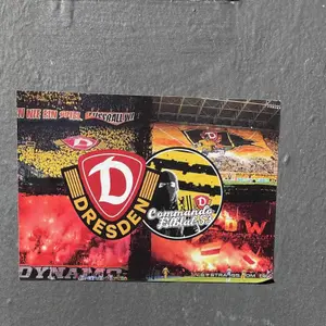 Dynamo Dresden street sticker #1329 -- Germany football
