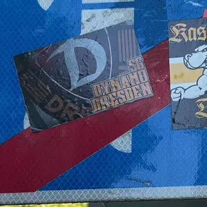 Dynamo Dresden street sticker #1366 -- Germany football
