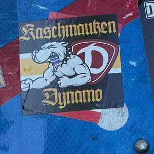 Dynamo Dresden street sticker #1333 -- Germany football
