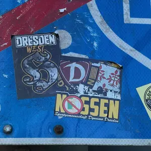 Dynamo Dresden street sticker #1342 -- Germany football