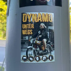 Dynamo Dresden street sticker #1362 -- Germany football
