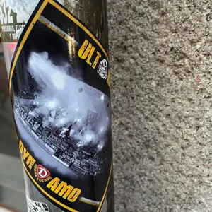 Dynamo Dresden street sticker #1350 -- Germany football