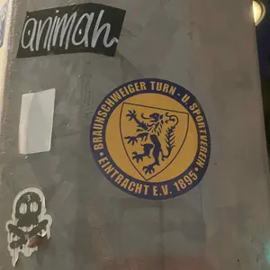 Eintracht Braunschweig street sticker #1552 -- Germany football