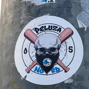 FC Corvinul Hunedoara sticker