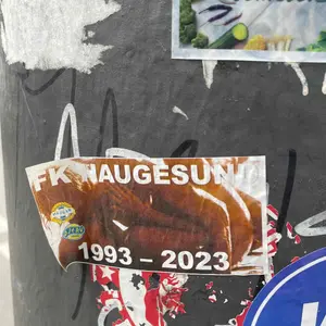 FK Haugesund sticker