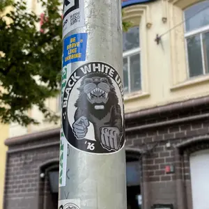 Heracles Almelo street sticker #728 -- Netherlands football