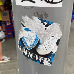 󠁧󠁢󠁥󠁮󠁧󠁿 Leicester City street sticker #1995 -- England football