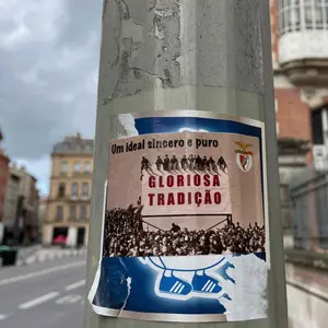 SL Benfica sticker #325