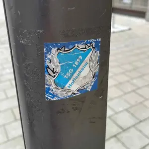 TSG 1899 Hoffenheim street sticker #1773 -- Germany football