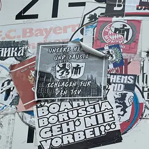 TSV 1860 München street sticker #1455 -- Germany football