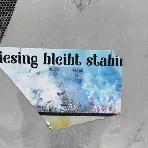 TSV 1860 München street sticker #1471 -- Germany football