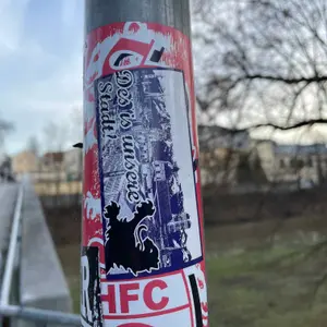 TSV 1860 München street sticker #1478 -- Germany football