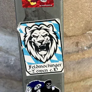 TSV 1860 München street sticker #1484 -- Germany football